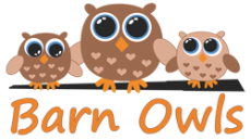 Barn Owls Preschool | Day Care | Shirley | Southampton | Nursery